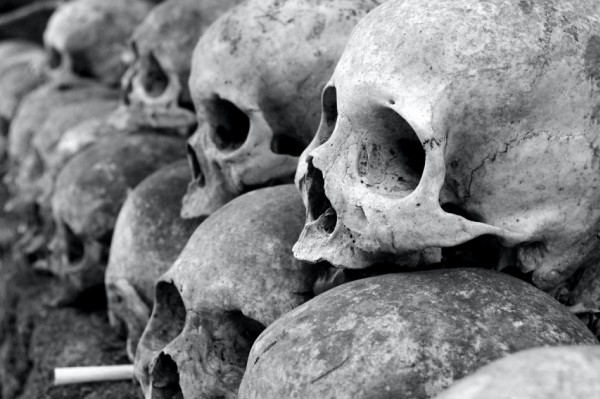 En sortiria un bon caldo...